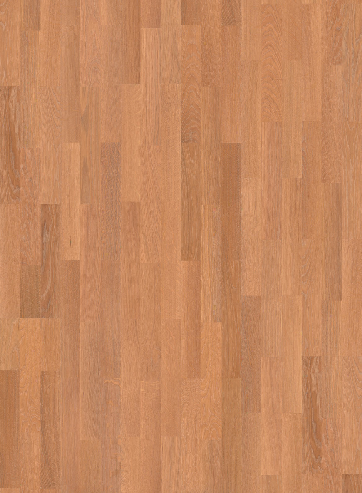 Portena | Farbe: Eiche Sand Select geölt | Produktbild
