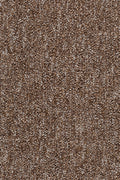 Practiva Teppichboden | Farbe: Mokka (090) | Farbansicht