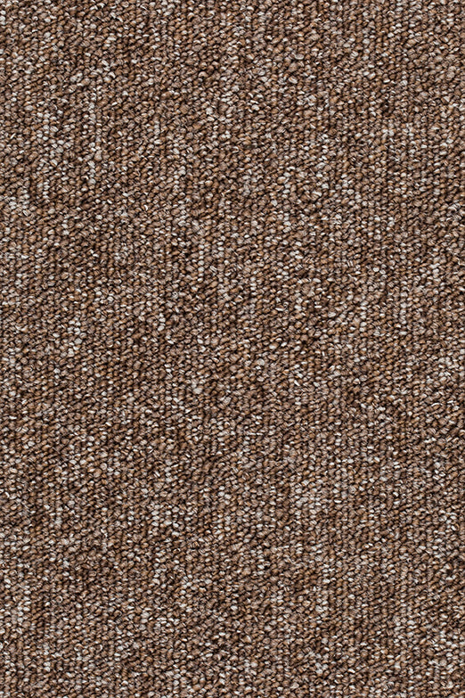 Practiva Teppichboden | Farbe: Mokka (090) | Farbansicht