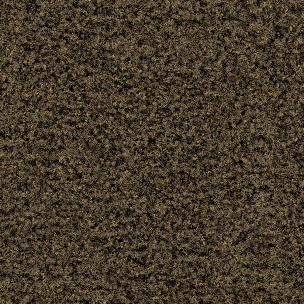 Forbo Coral Brush Sauberlaufmatte 55 × 90 cm