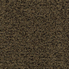Forbo Coral Brush Sauberlaufmatte 55 × 90 cm