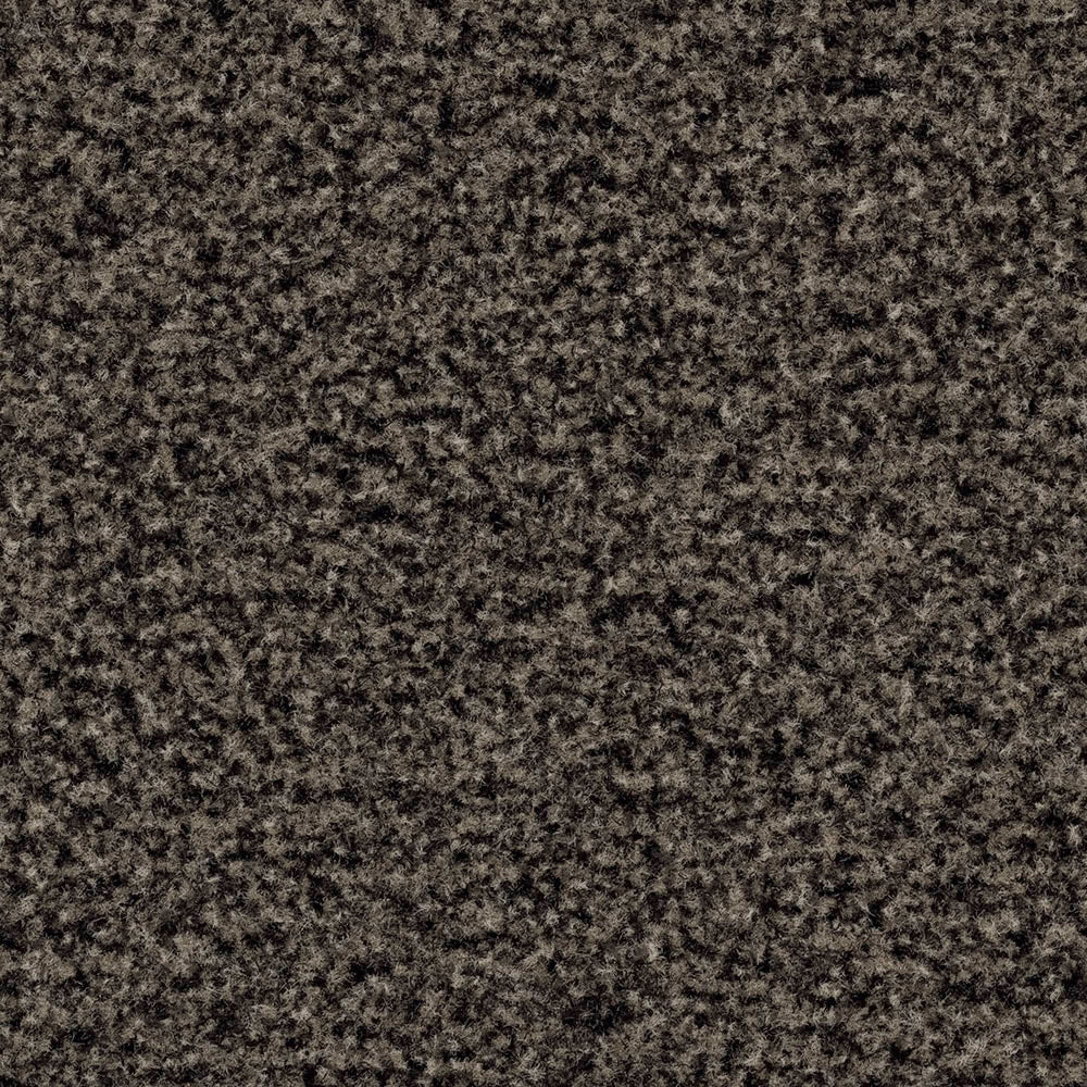 Forbo Coral Brush Sauberlaufmatte 55 × 90 cm