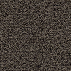 Forbo Coral Brush Sauberlaufmatte 55 × 90 cm