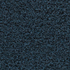 Forbo Coral Brush Sauberlaufmatte 90 × 155 cm