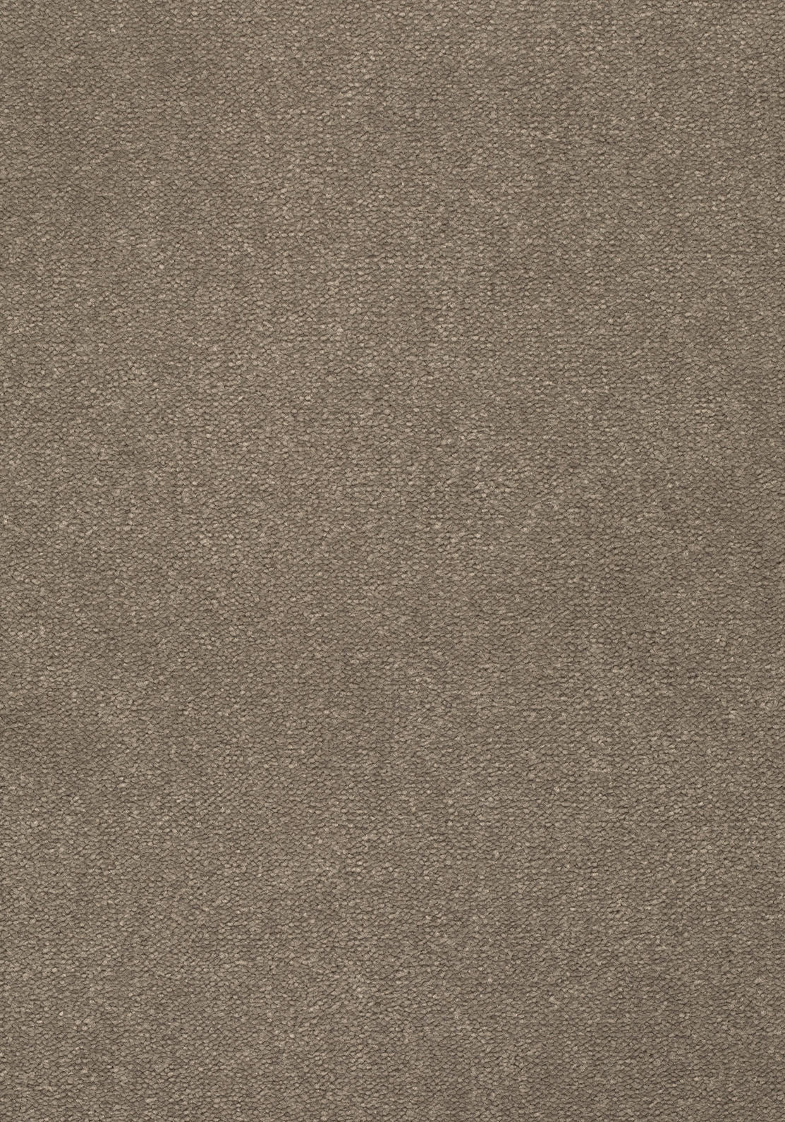 Castella Teppichboden | Farbe: Taupe (142) | Musterfoto (Farbe kann abweichen)