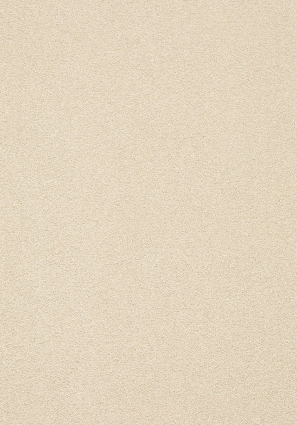 Castella Teppichboden | Farbe: Creme (102) | Musterfoto (Farbe kann abweichen)