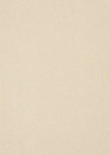 Castella Teppichboden | Farbe: Creme (102) | Musterfoto (Farbe kann abweichen)