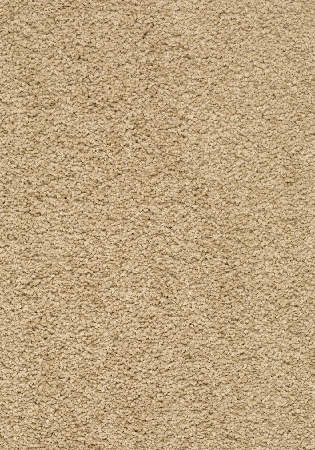 Velmira Teppichboden | Farbe: Sand (051) | Musterfoto (Farbe kann abweichen)