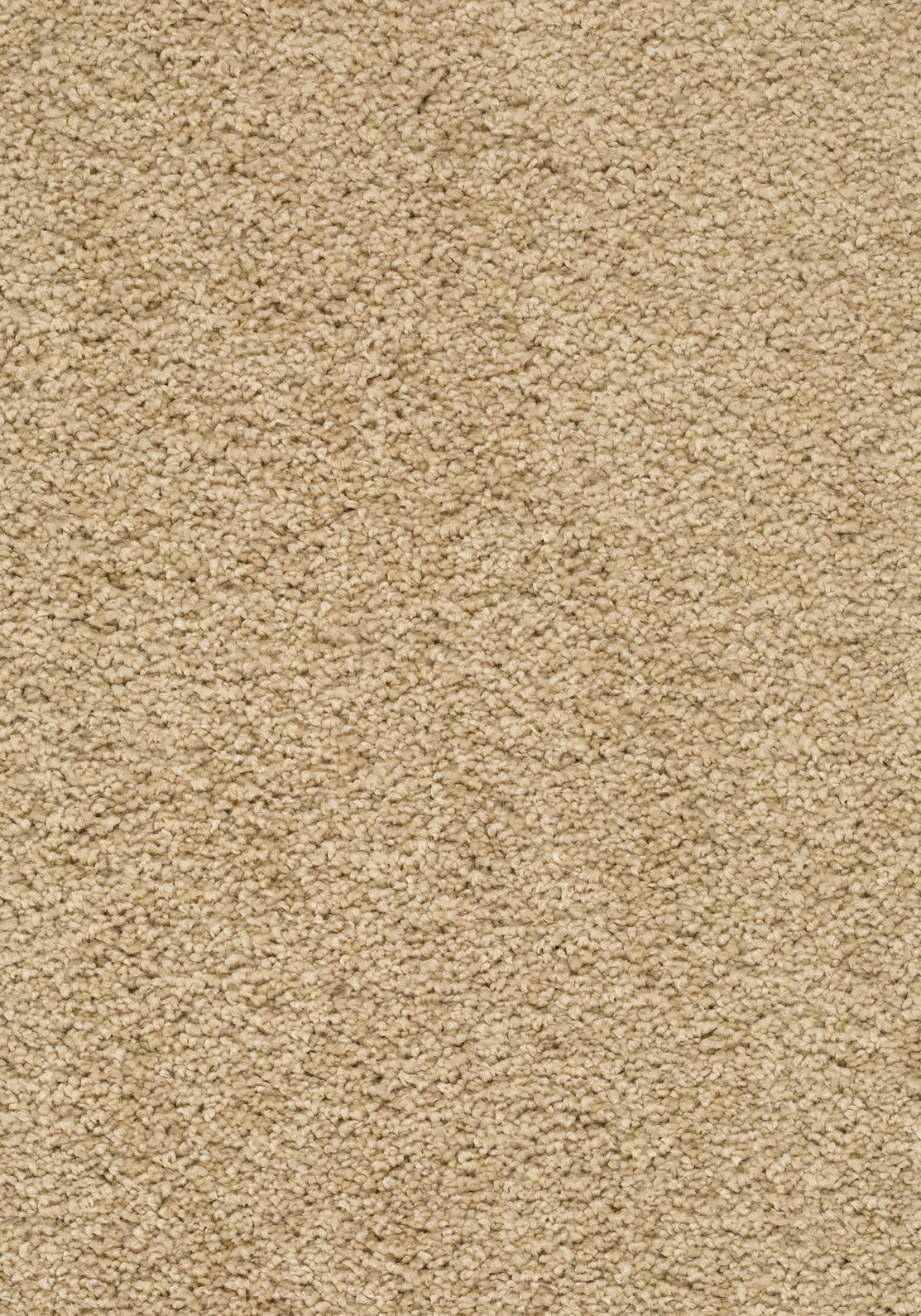 Velmira Teppichboden | Farbe: Sand (051) | Musterfoto (Farbe kann abweichen)