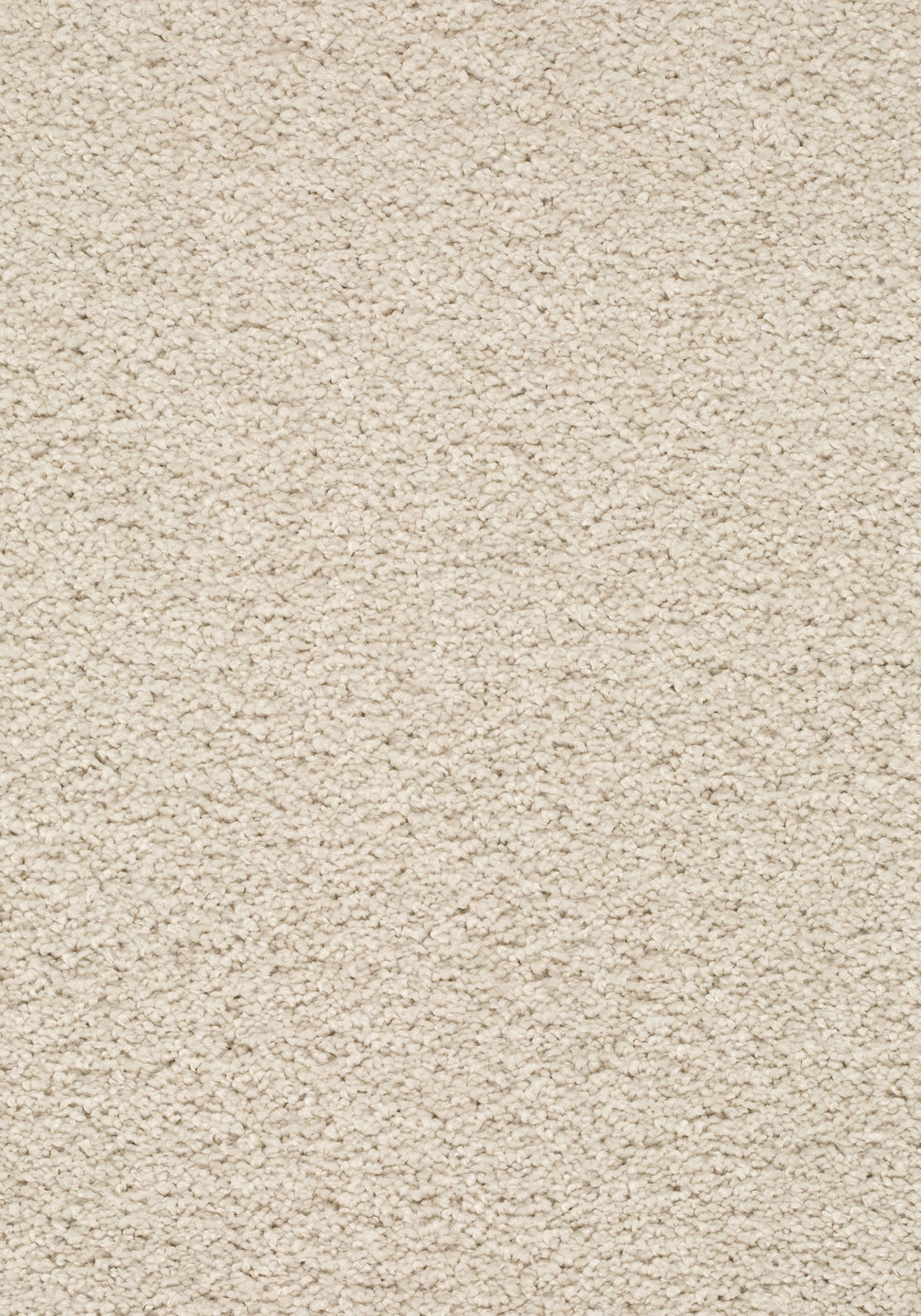Velmira Teppichboden | Farbe: Creme (031) | Musterfoto (Farbe kann abweichen)