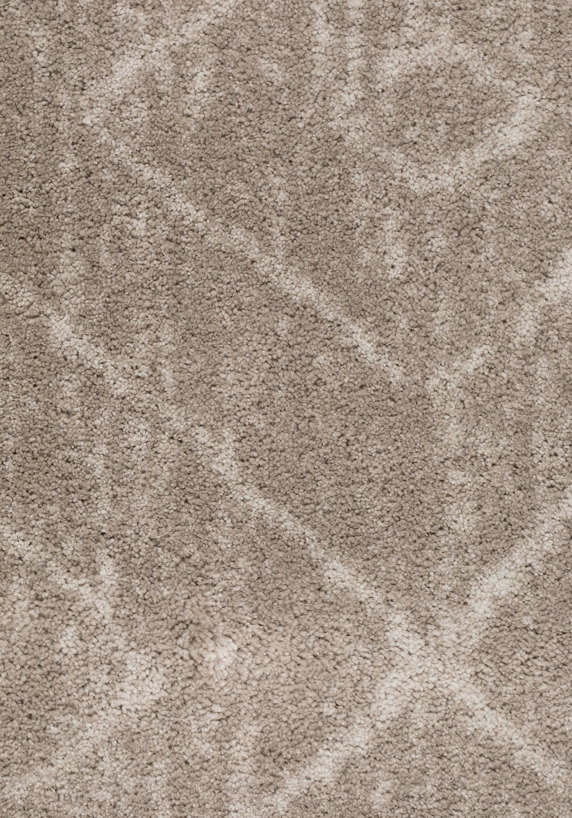 Serafina Teppichboden | Farbe: Taupe (049) | Musterfoto (Farbe kann abweichen)