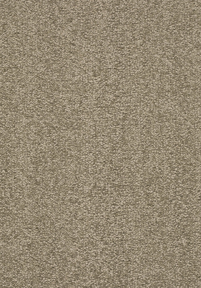 Florenza Teppichboden | Farbe: Schilf (073) | Musterfoto (Farbe kann abweichen)