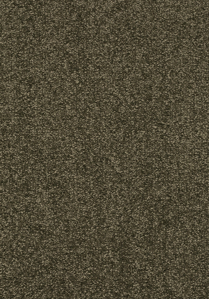 Florenza Teppichboden | Farbe: Dunkeloliv (045) | Musterfoto (Farbe kann abweichen)