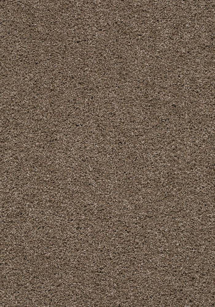 Frisano Teppichboden | Farbe: Taupe (090) | Musterfoto (Farbe kann abweichen)