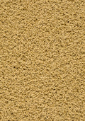 Solenza Teppichboden | Farbe: Gold (153) | Musterfoto (Farbe kann abweichen)