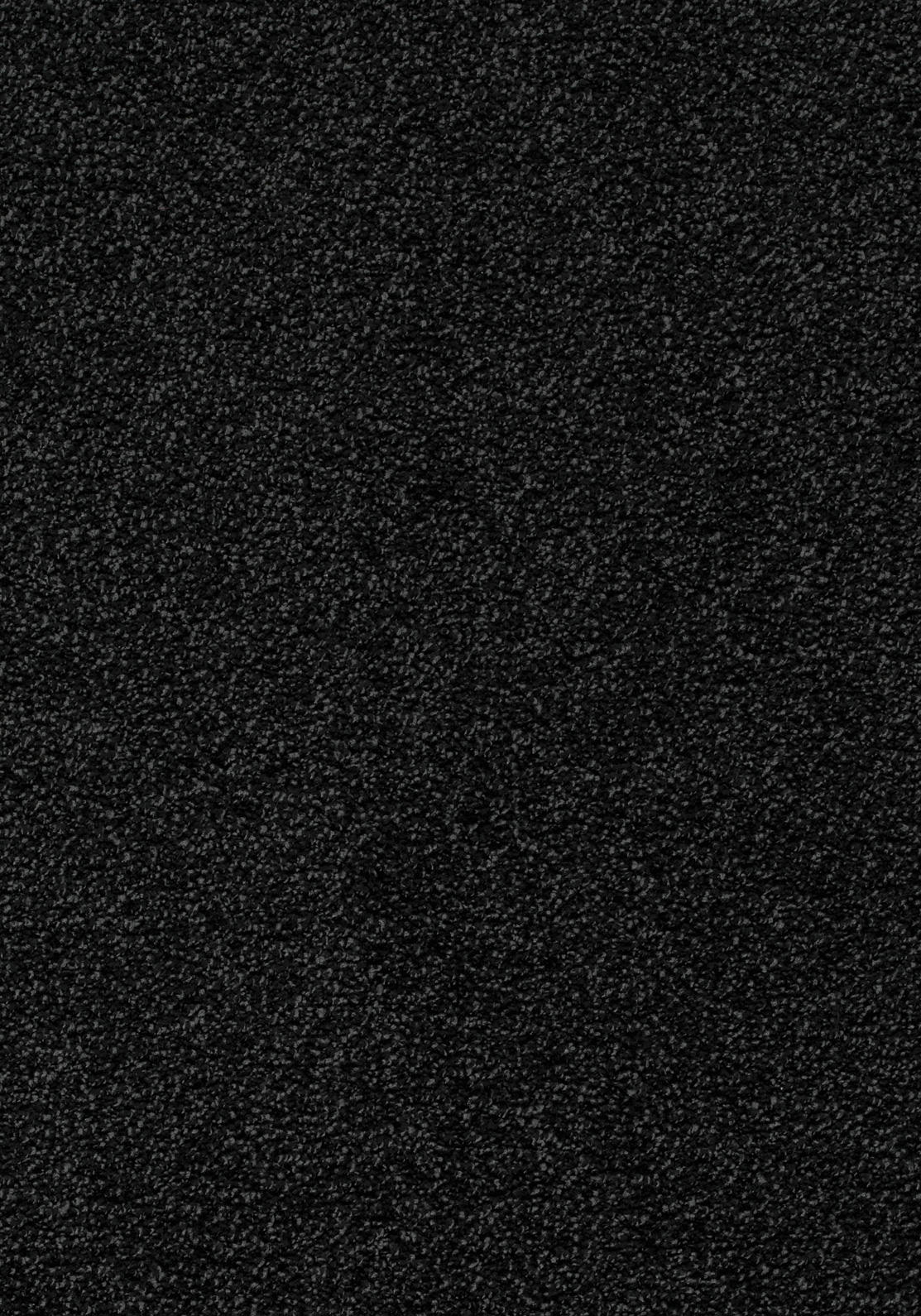 Frisano Teppichboden | Farbe: Schwarz (078) | Musterfoto (Farbe kann abweichen)