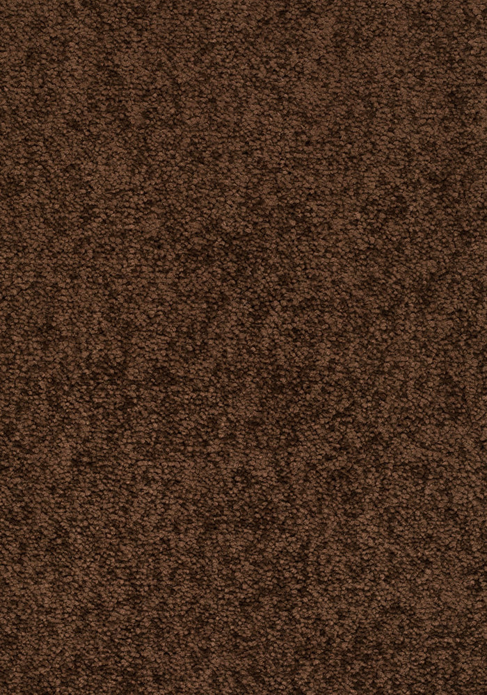 Elvora Teppichboden | Farbe: Dunkelbraun (283) | Musterfoto (Farbe kann abweichen)