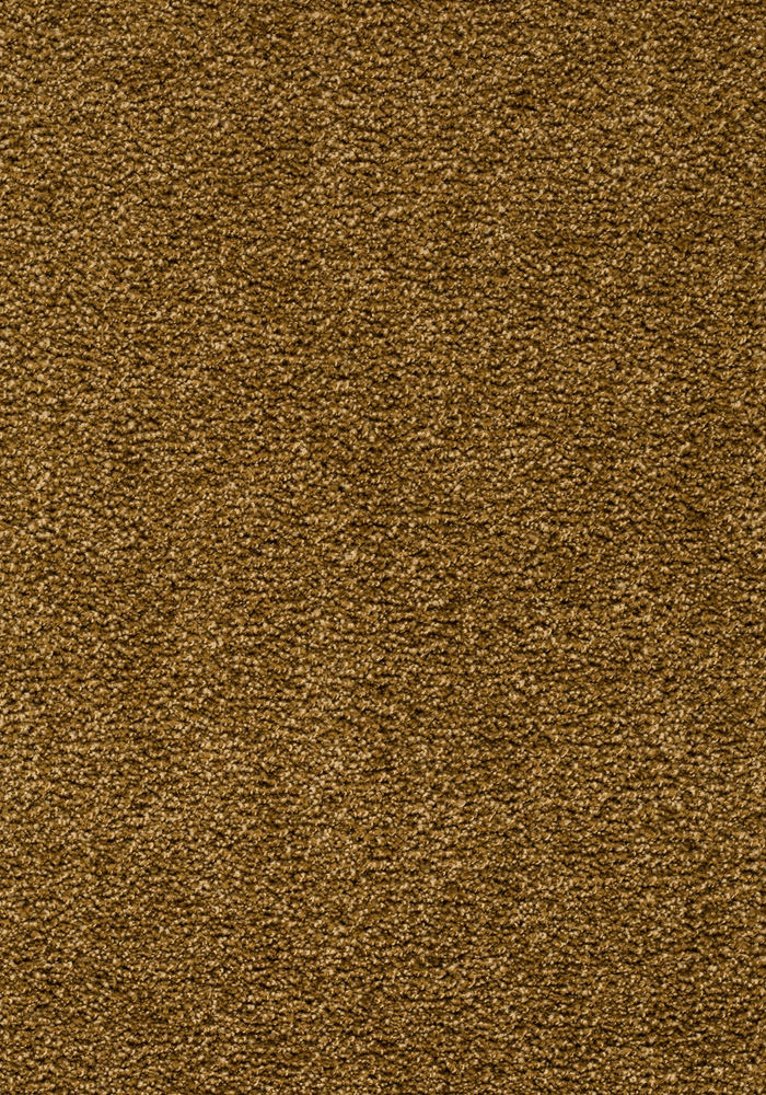 Frisano Teppichboden | Farbe: Bronze (050) | Musterfoto (Farbe kann abweichen)