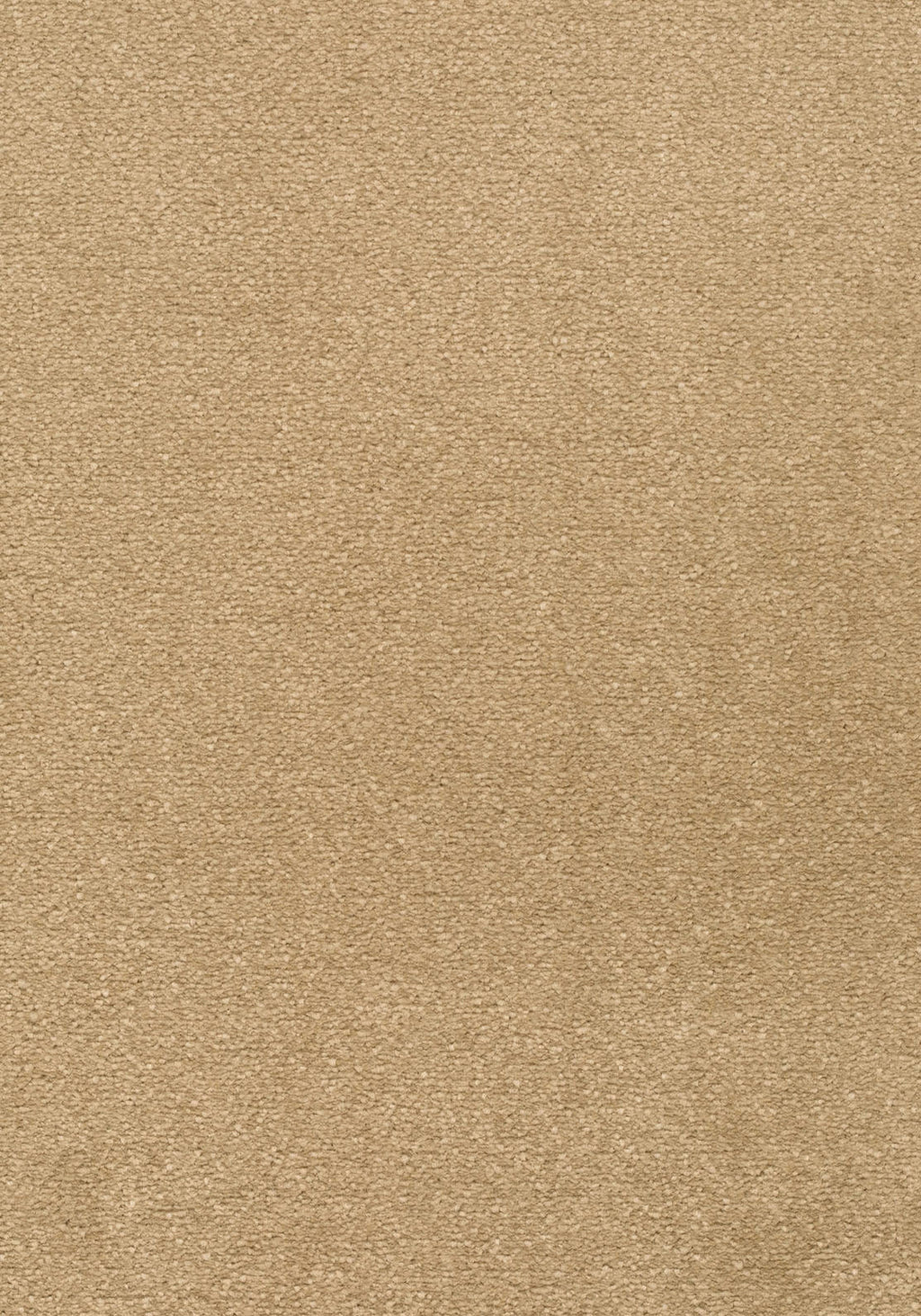 Lunessa Teppichboden | Farbe: Sand (052) | Musterfoto (Farbe kann abweichen)