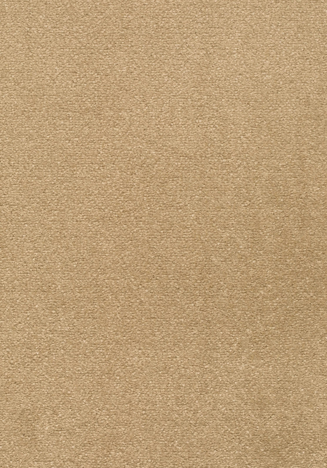 Lunessa Teppichboden | Farbe: Sand (052) | Musterfoto (Farbe kann abweichen)