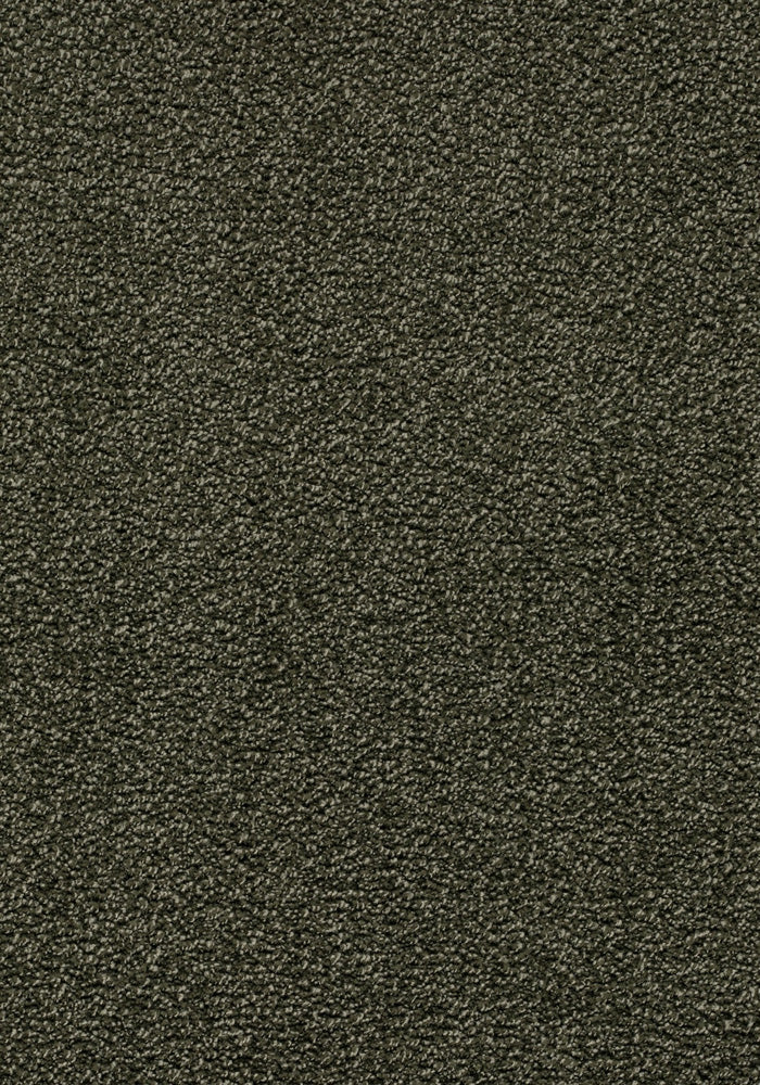 Frisano Teppichboden | Farbe: Dunkeloliv (040) | Musterfoto (Farbe kann abweichen)