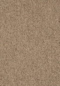 Odalis Teppichboden | Farbe: Haselnuss (137) | Musterfoto (Farbe kann abweichen)