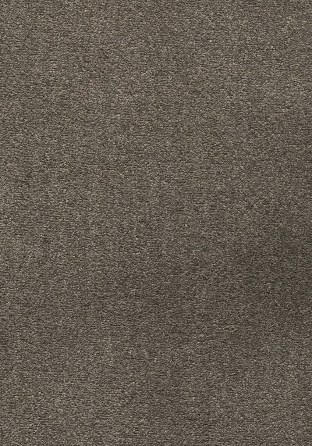 Lunessa Teppichboden | Farbe: Graubraun (049) | Musterfoto (Farbe kann abweichen)