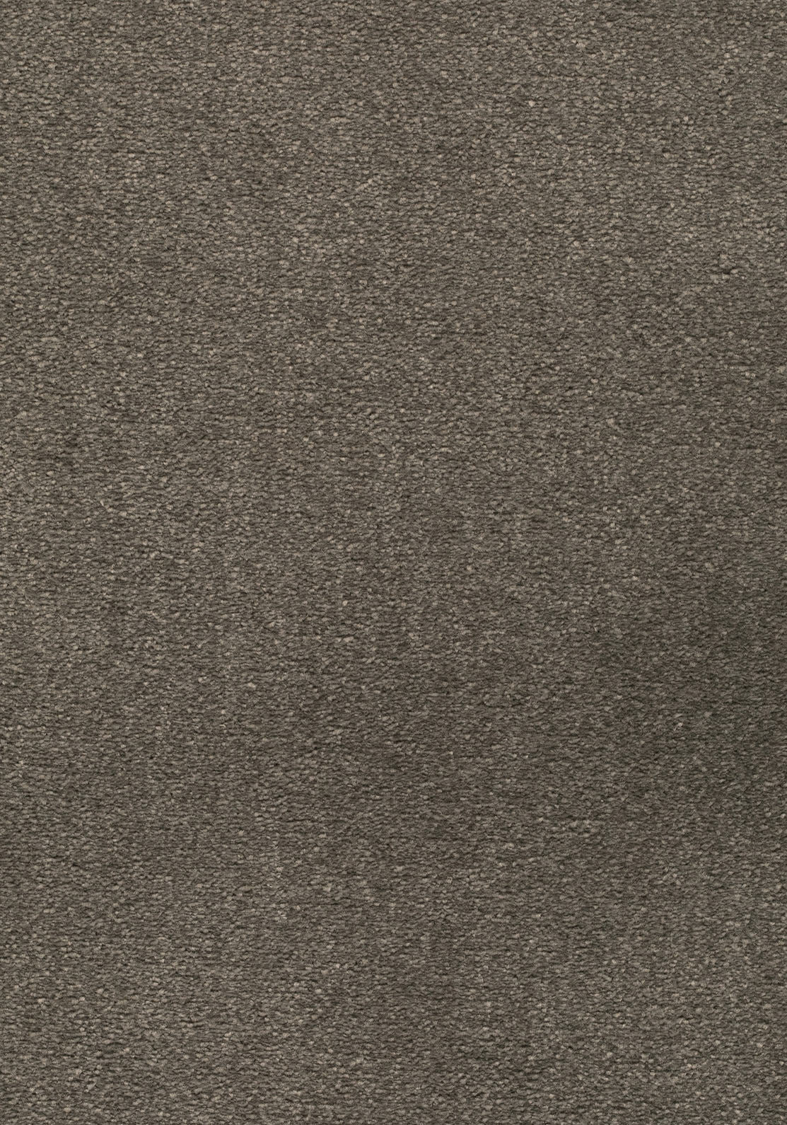 Lunessa Teppichboden | Farbe: Graubraun (049) | Musterfoto (Farbe kann abweichen)