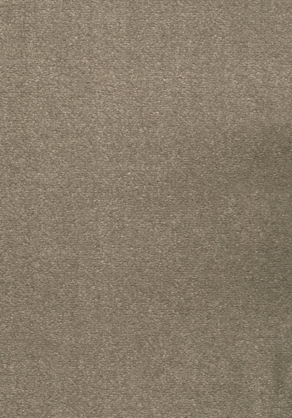 Lunessa Teppichboden | Farbe: Taupe (039) | Musterfoto (Farbe kann abweichen)