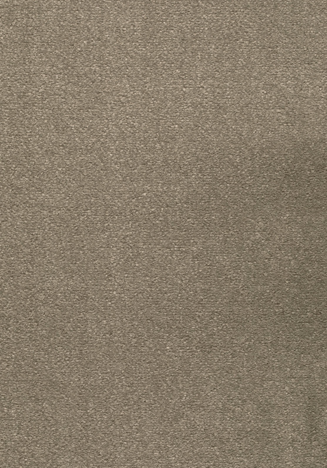 Lunessa Teppichboden | Farbe: Taupe (039) | Musterfoto (Farbe kann abweichen)