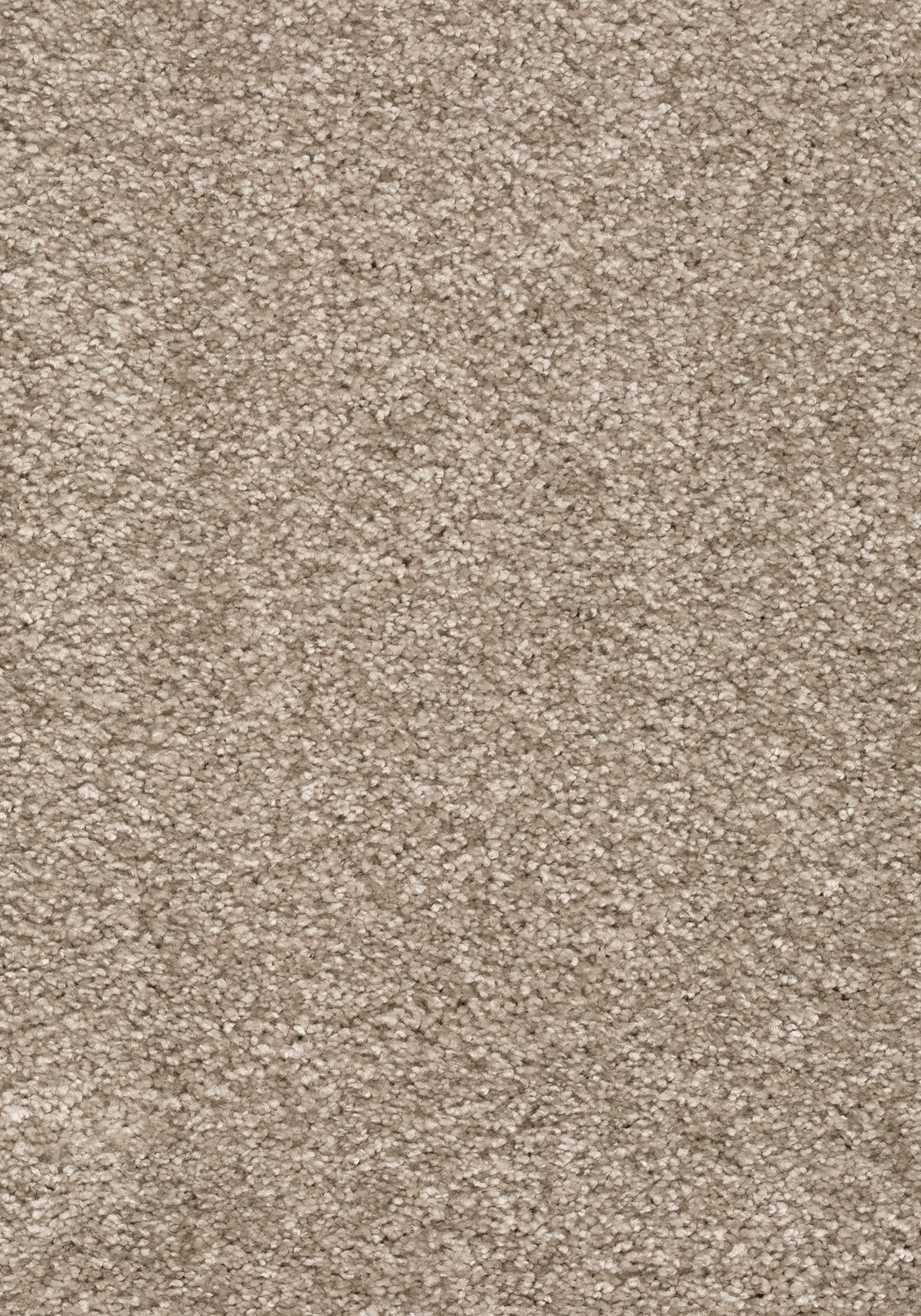 Armonia Teppichboden | Farbe: Greige (039) | Musterfoto (Farbe kann abweichen)