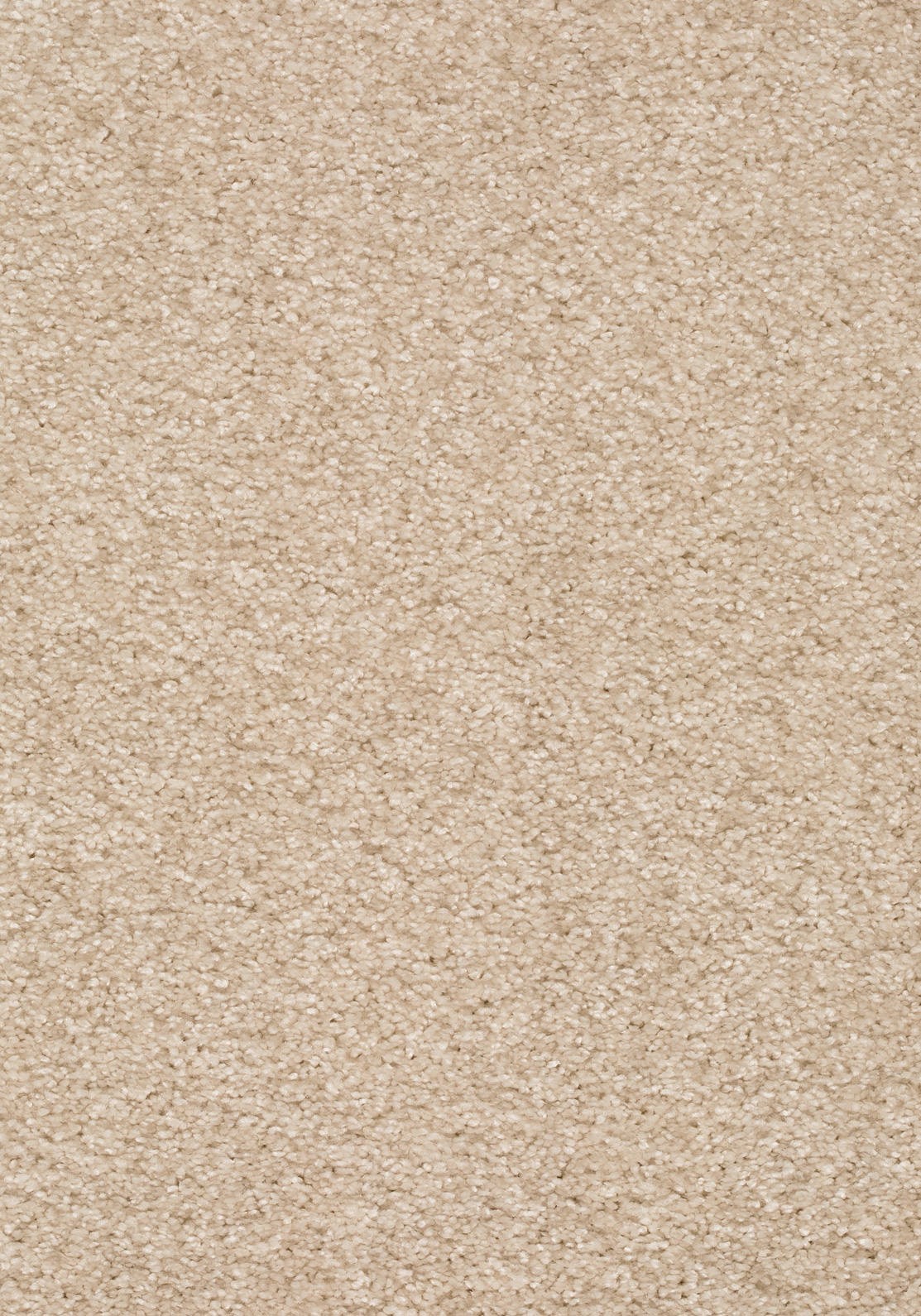 Armonia Teppichboden | Farbe: Sand (030) | Musterfoto (Farbe kann abweichen)