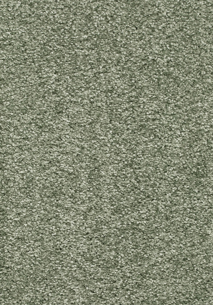 Armonia Teppichboden | Farbe: Salbeigrün (025) | Musterfoto (Farbe kann abweichen)