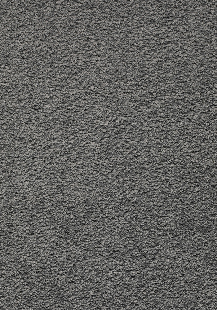 Ambrosia Teppichboden | Farbe: Grau (559) | Musterfoto (Farbe kann abweichen)
