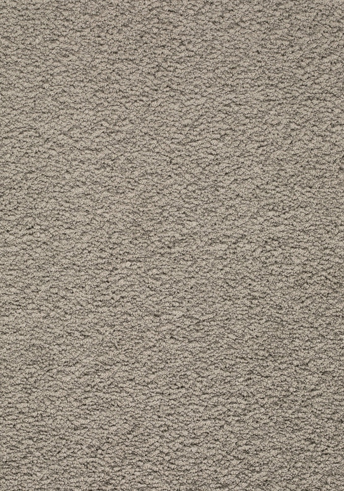 Ambrosia Teppichboden | Farbe: Steingrau (549) | Musterfoto (Farbe kann abweichen)