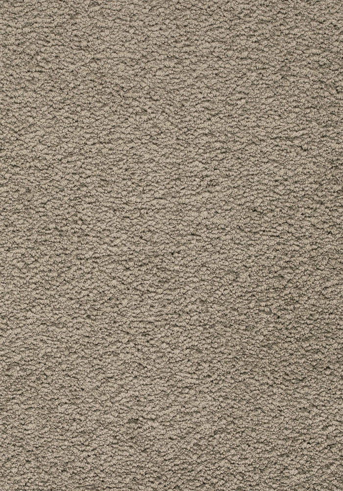 Ambrosia Teppichboden | Farbe: Taupe (539) | Musterfoto (Farbe kann abweichen)
