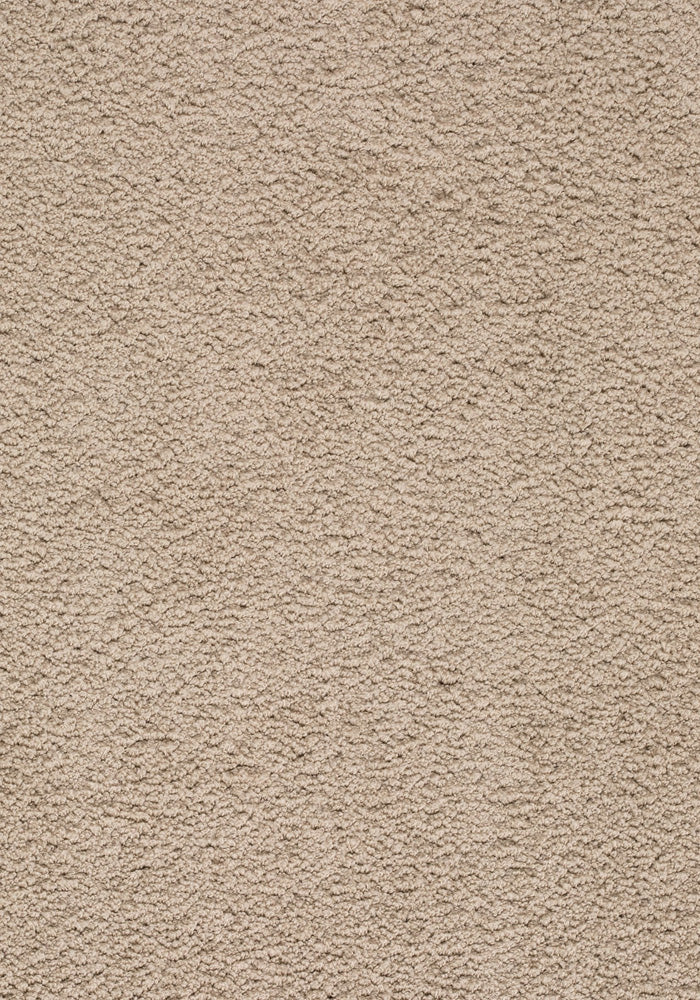 Ambrosia Teppichboden | Farbe: Sand (524) | Musterfoto (Farbe kann abweichen)