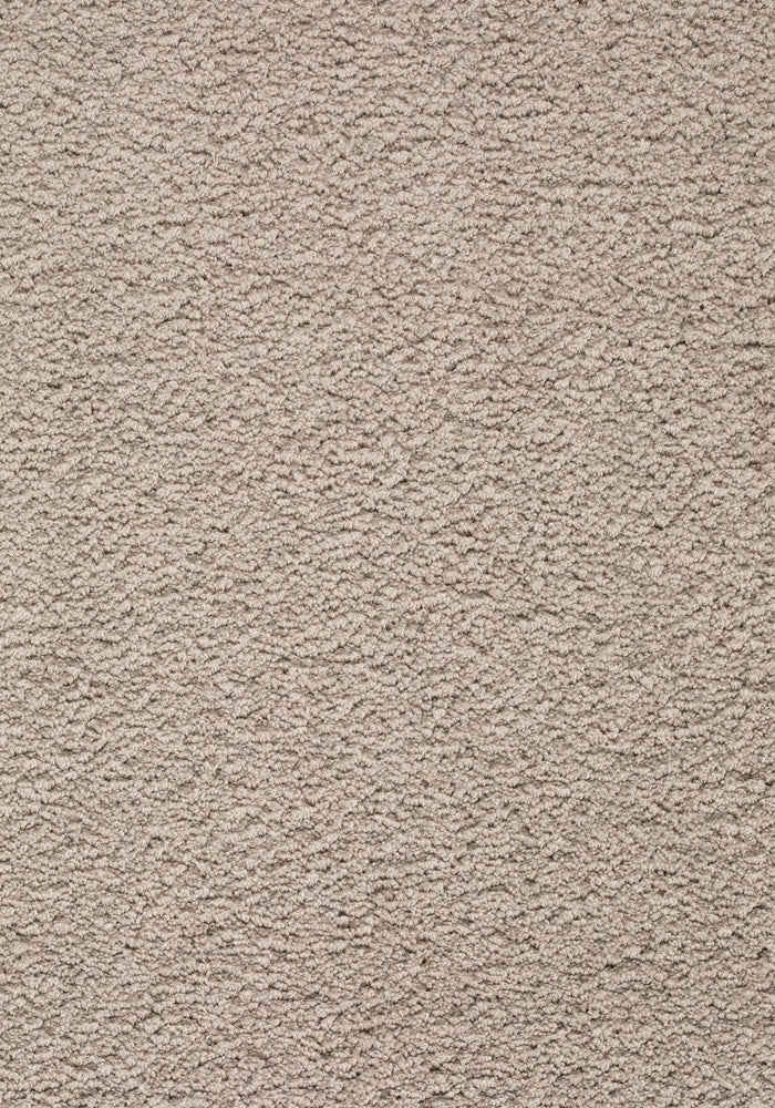 Ambrosia Teppichboden | Farbe: Greige (512) | Musterfoto (Farbe kann abweichen)