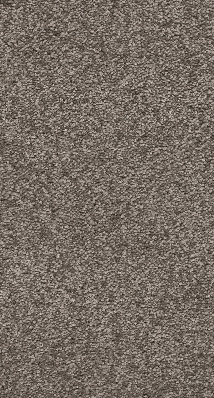 Quirina Teppichboden | Farbe: Steingrau (076) | Musterfoto (Farbe kann abweichen)