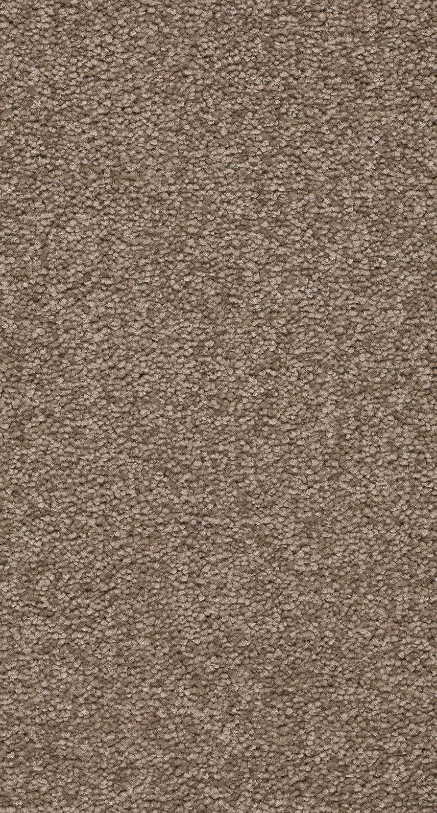 Quirina Teppichboden | Farbe: Mokka (072) | Musterfoto (Farbe kann abweichen)