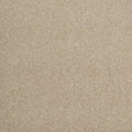 Sand (730)