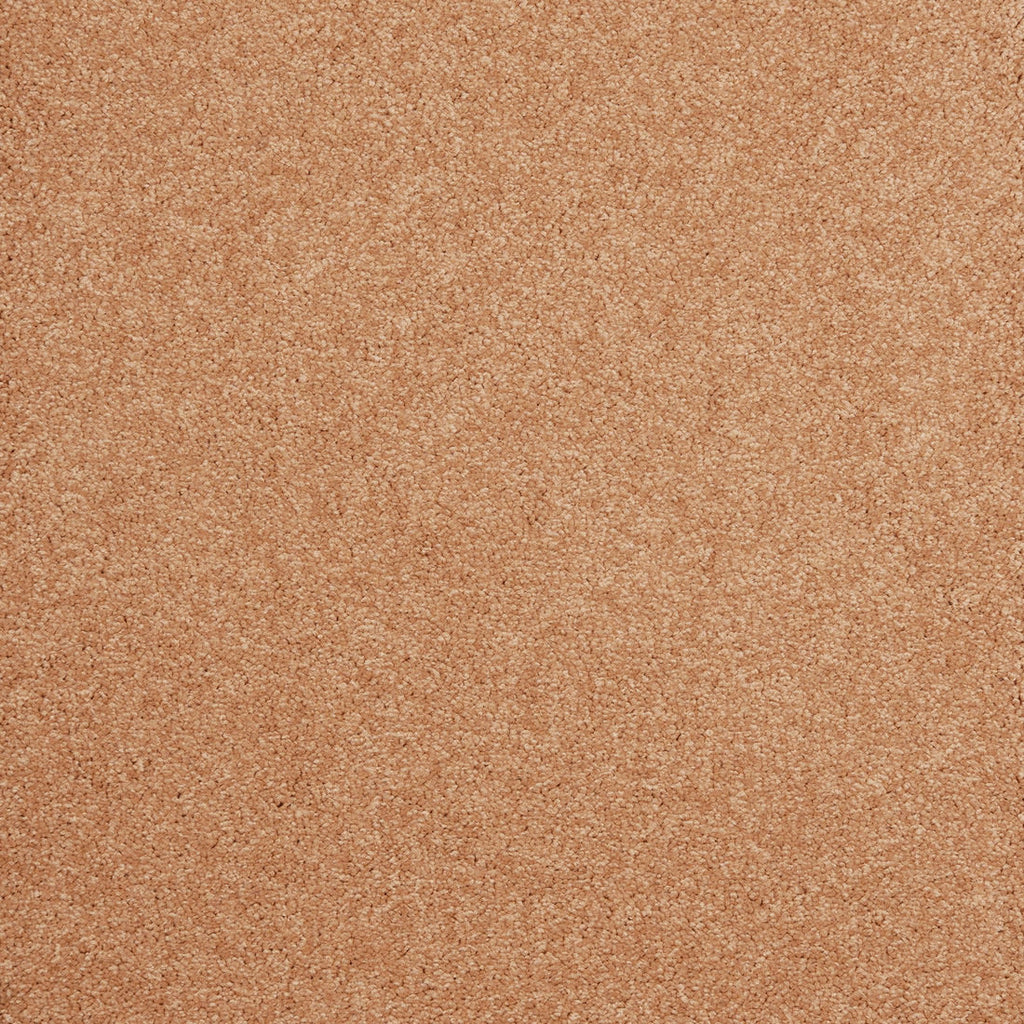 Belcanto Teppichboden | Farbe: Kupfer (440) | Musterfoto (Farbe kann abweichen)