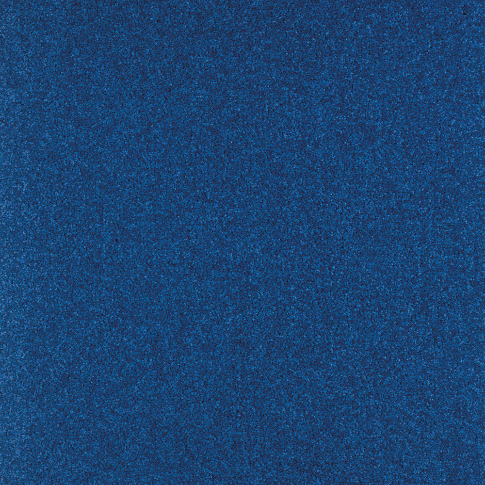 Bellagio Teppichboden | Farbe: Königsblau (180) | Musterfoto (Farbe kann abweichen)