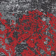 Rot (995)