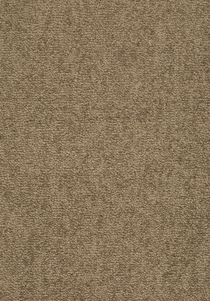 Elvora Teppichboden | Farbe: Haselnuss (430) | Musterfoto (Farbe kann abweichen)