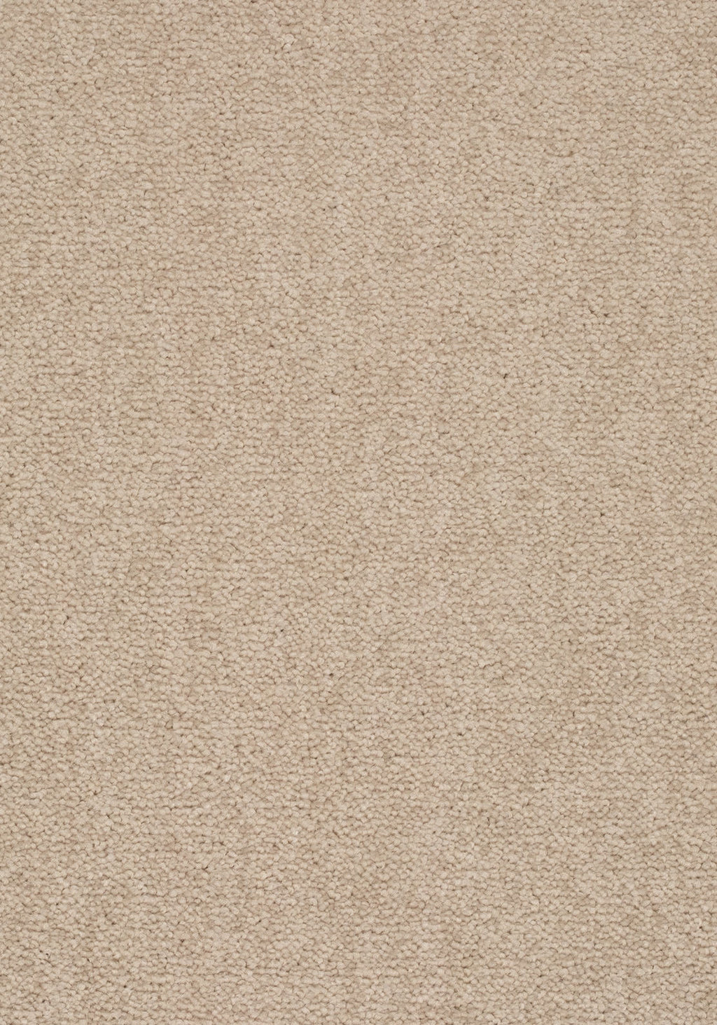Elvora Teppichboden | Farbe: Leinen (251) | Musterfoto (Farbe kann abweichen)