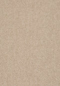 Elvora Teppichboden | Farbe: Leinen (251) | Musterfoto (Farbe kann abweichen)