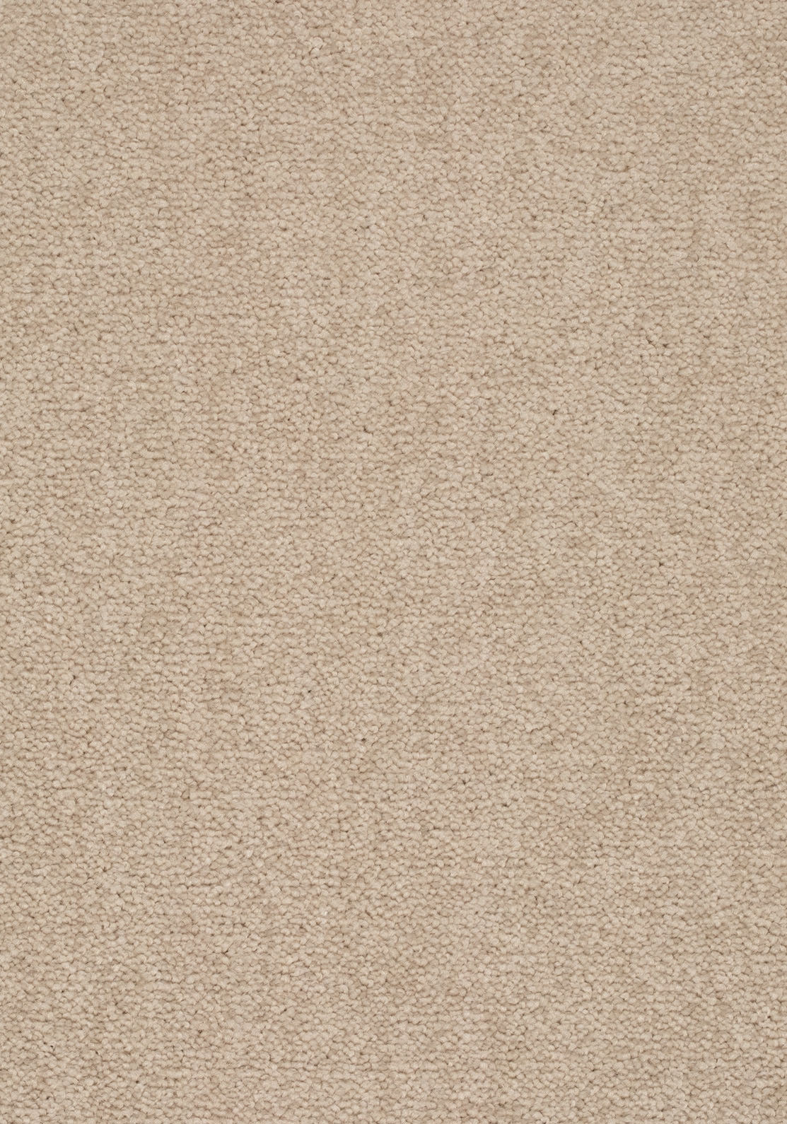 Elvora Teppichboden | Farbe: Leinen (251) | Musterfoto (Farbe kann abweichen)