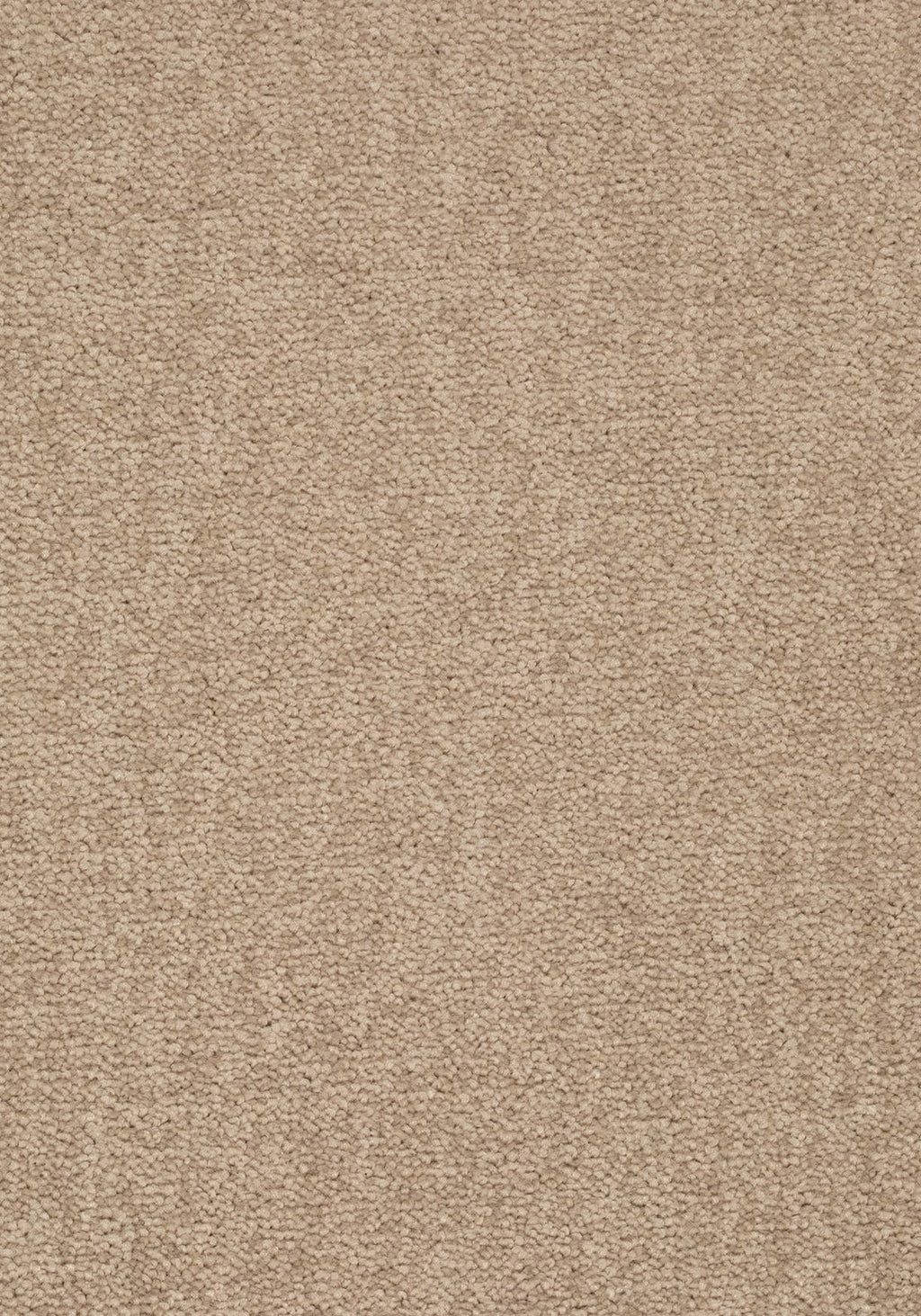 Elvora Teppichboden | Farbe: Sand (221) | Musterfoto (Farbe kann abweichen)