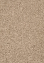 Elvora Teppichboden | Farbe: Sand (221) | Musterfoto (Farbe kann abweichen)